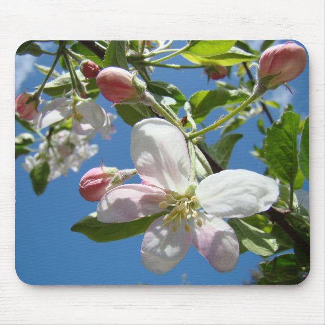 ÄPPELBLOMMOR MUSMATTOR Träd Blommor Musmatta (Framsidan)