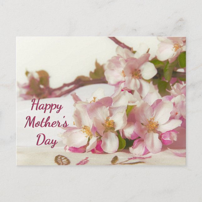 Äppelblomster Postkort Vykort (Framsida)