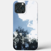 Äppeljon 13 Pro Max fodral coola eco stil