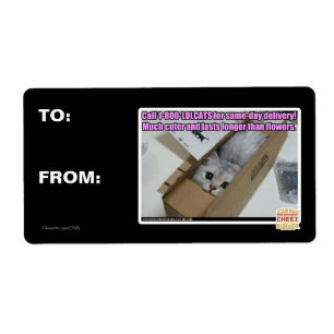Appell 1-800-LOLCATS Fraktsedel