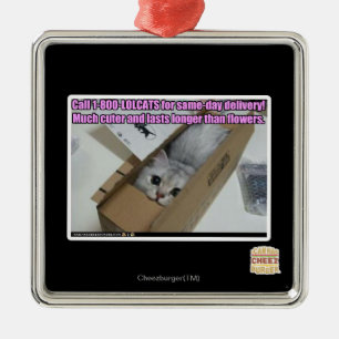 Appell 1-800-LOLCATS Julgransprydnad Metall