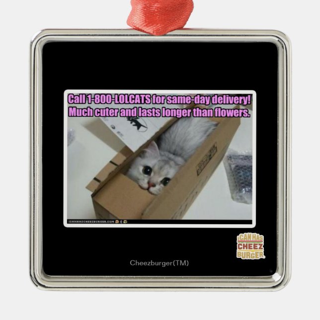 Appell 1-800-LOLCATS Julgransprydnad Metall (Framsidan)