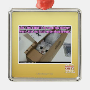 Appell 1-800-LOLCATS Julgransprydnad Metall