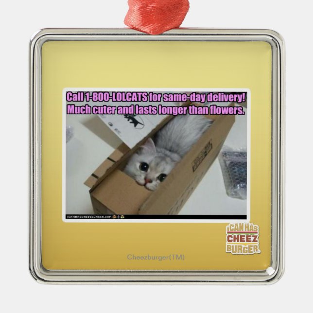 Appell 1-800-LOLCATS Julgransprydnad Metall (Framsidan)