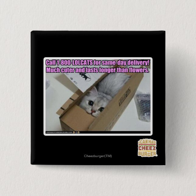 Appell 1-800-LOLCATS Knapp (Framsida)
