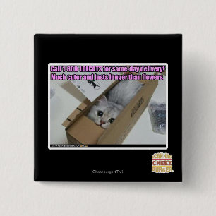 Appell 1-800-LOLCATS Knapp