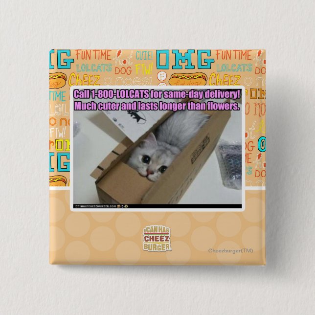 Appell 1-800-LOLCATS Knapp (Framsida)