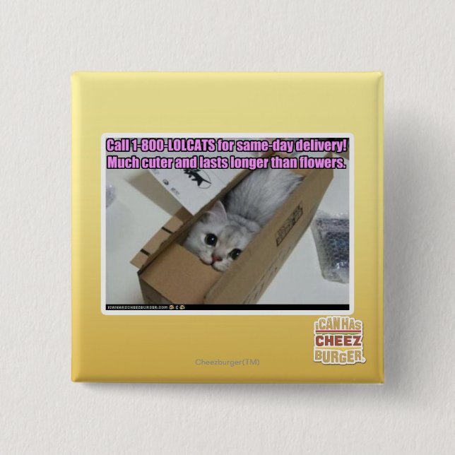 Appell 1-800-LOLCATS Knapp (Framsida)