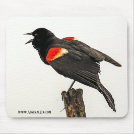 Appell av vilden musmatta