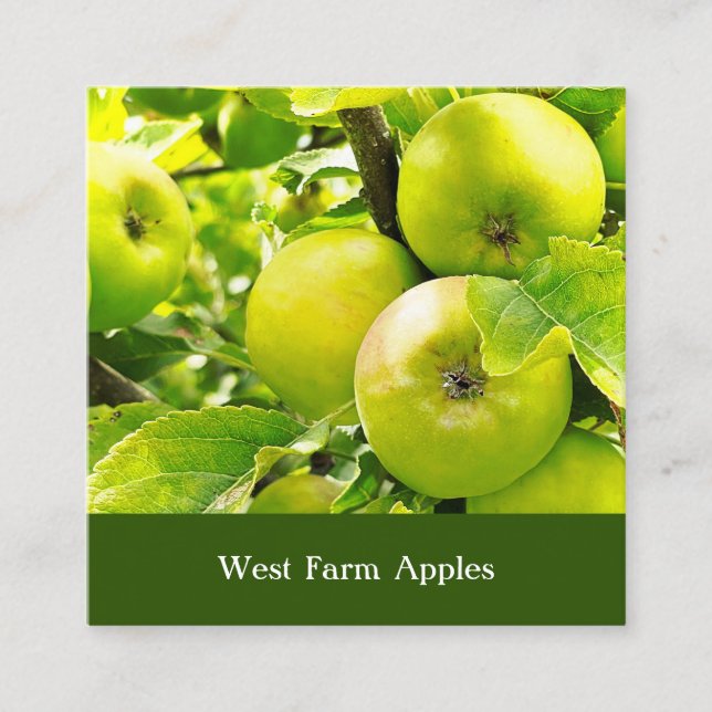 Äppelodling Ciderpress Träd Fruktodlare Gård Fyrkantigt Visitkort (Framsida)