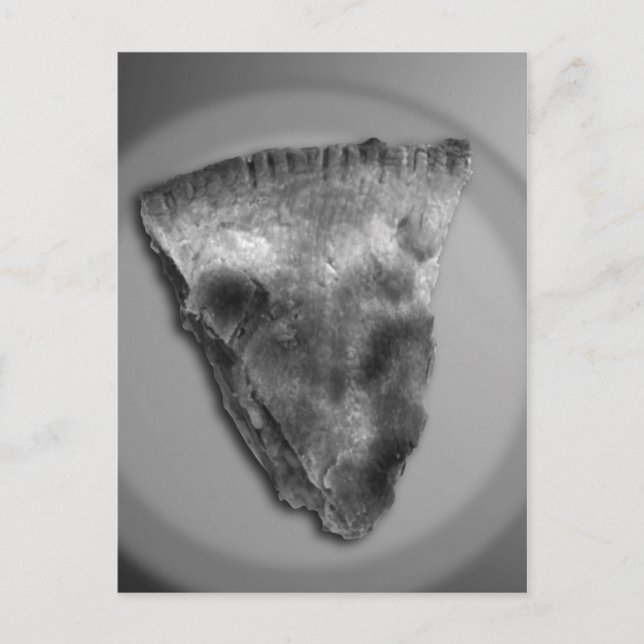 Äppelsegment Paj Vykort (Framsida)