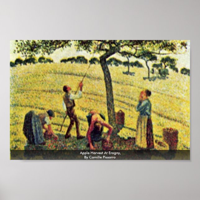 Äppelskörd i Eragny, av Camille Pissarro Poster (Framsidan)