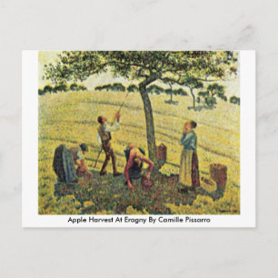 Äppelskörd i Eragny av Camille Pissarro Vykort