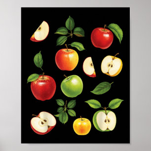 Äppelsorter Olika sorter Äppleplockare Skörd Poster