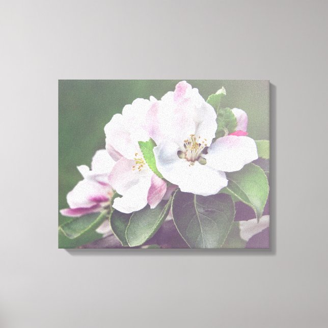 Äppelträd blommar vårduk canvas väggkonst (Framsida)