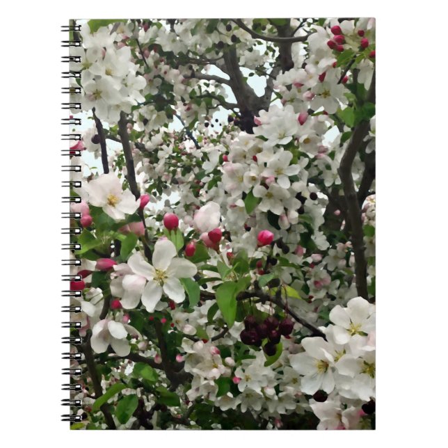 Äppelträd I Blomning Anteckningsbok (Framsidan)