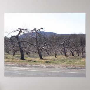 ÄppelTräd i en fotopatfärg i en rad Poster