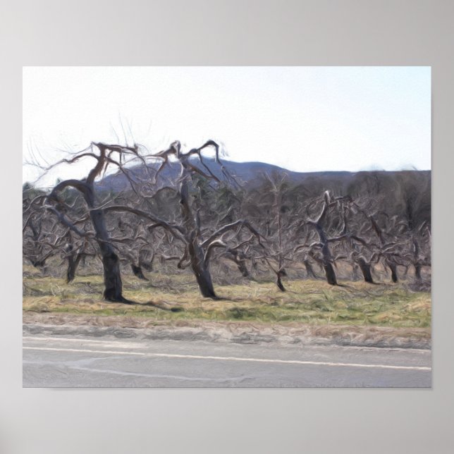 ÄppelTräd i en fotopatfärg i en rad Poster (Framsidan)