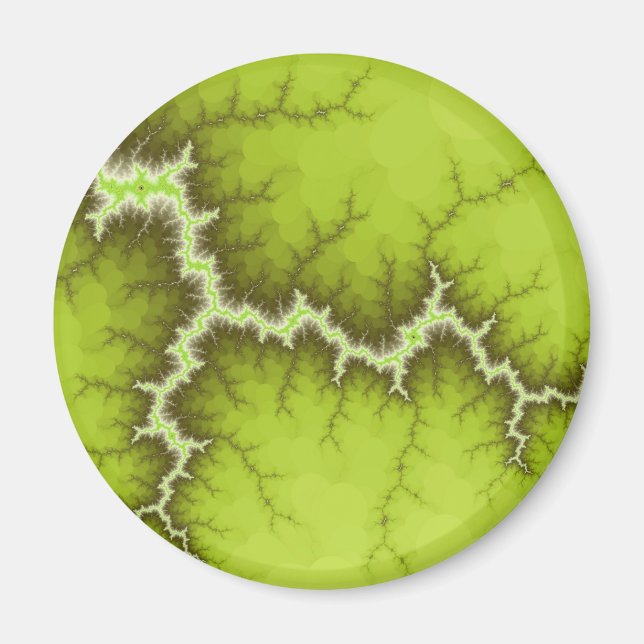 Äppelträdsrötter Magnet (Framsidan)