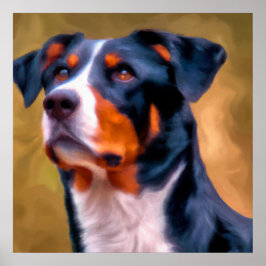 Appenzeller Sennenhund - Hund Porträtt Poster