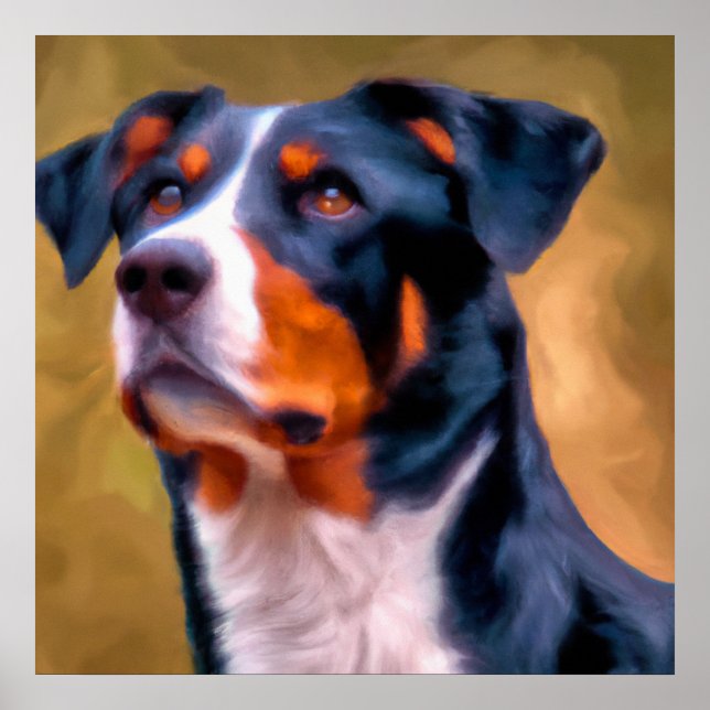 Appenzeller Sennenhund - Hund Porträtt Poster (Framsidan)