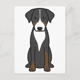 Appenzeller Sennenhund Vykort