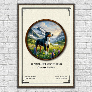 Appenzeller Sennenhund Zoologisk Serie Poster