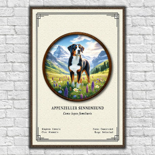 Appenzeller Sennenhund Zoologisk Serie Poster