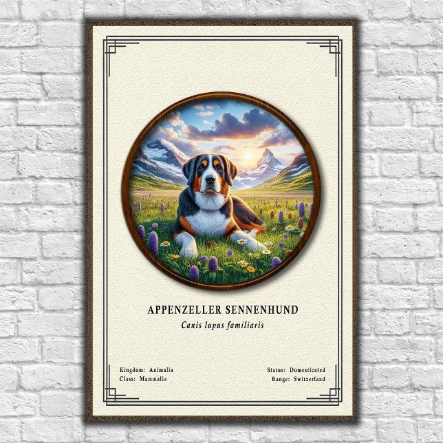 Appenzeller Sennenhund Zoologisk Serie Poster (Skapare uppladdad)