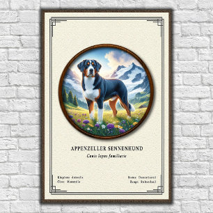 Appenzeller Sennenhund Zoologisk Serie Poster