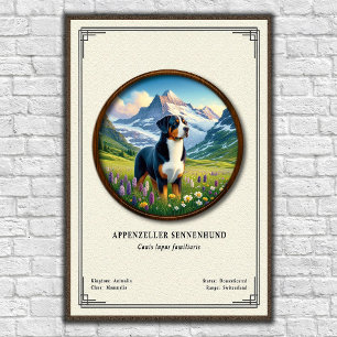 Appenzeller Sennenhund Zoologisk Serie Poster