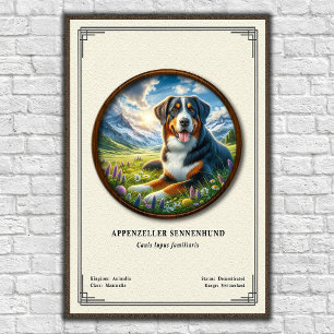 Appenzeller Sennenhund Zoologisk Serie Poster