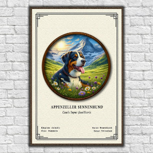 Appenzeller Sennenhund Zoologisk Serie Poster