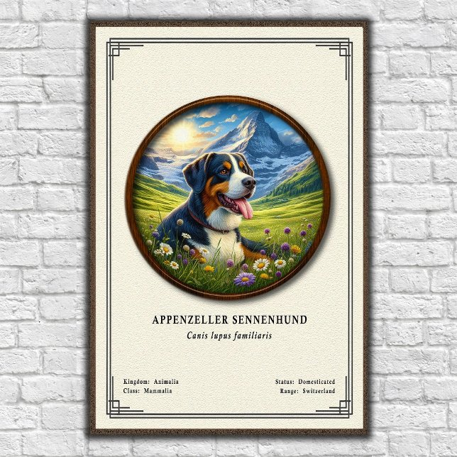 Appenzeller Sennenhund Zoologisk Serie Poster (Skapare uppladdad)