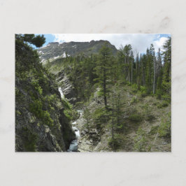 Appistoki Falls och Peak vid Glacier National Park Vykort