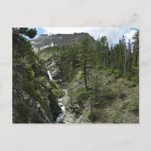 Appistoki Falls och Peak vid Glacier National Park Vykort (Framsida)