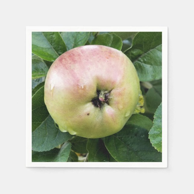 ÄPPLA PAPPERSSERVETT (Framsidan)