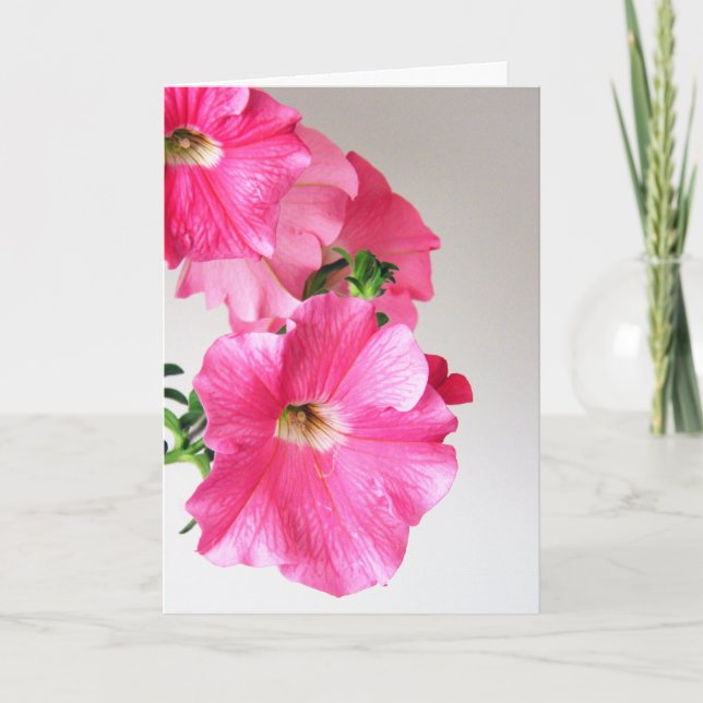 Applådera rosa Petunias Kort (Framsida)