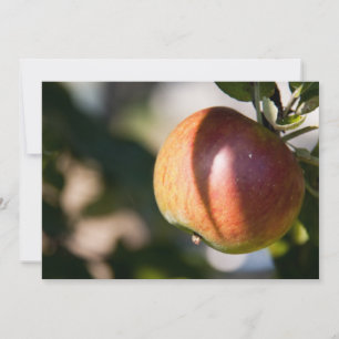 Äpple