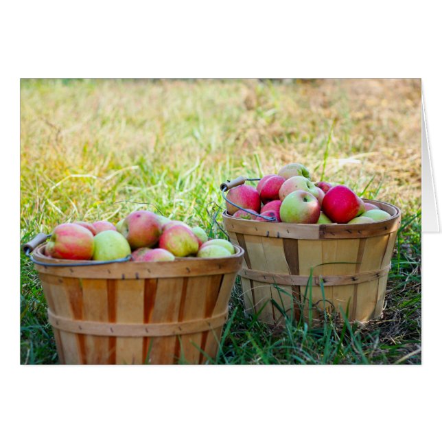 Apple Basket OBS Kort (Framsidan Horizontal)