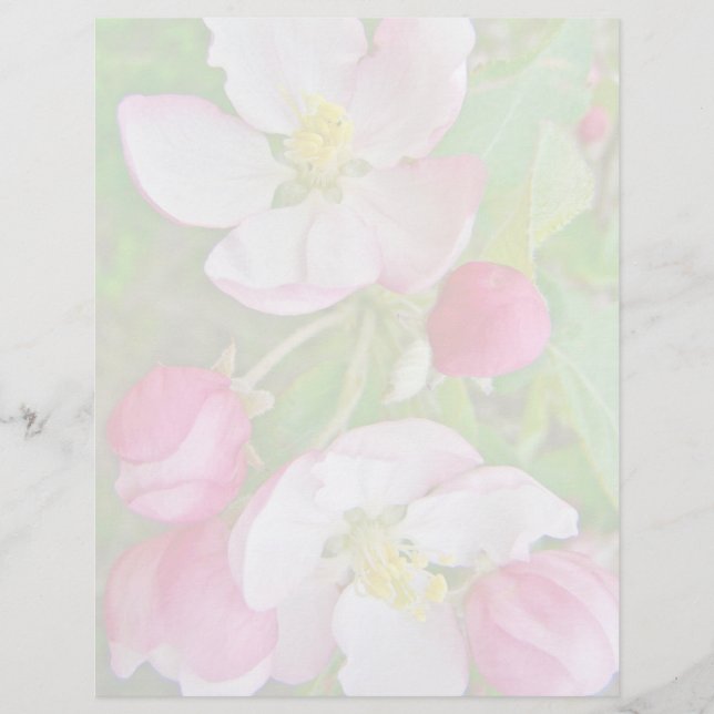 Apple-Blommar (Framsida)