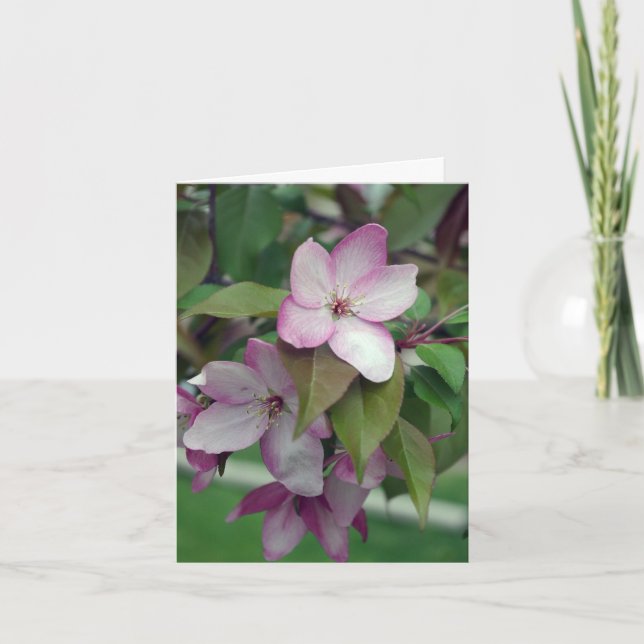 Apple Blommar Birthday Card Kort (Framsida)