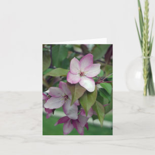 Apple Blommar Birthday Card Kort