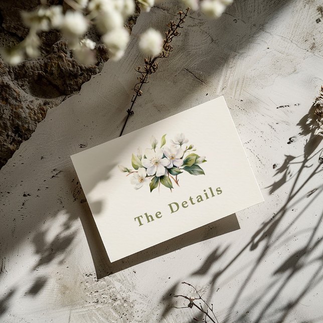 Apple Blommar-blomman Informationshöljet Tilläggskort (Delicate and pretty "The Details" wedding card with painted style white apple blossom flowers)