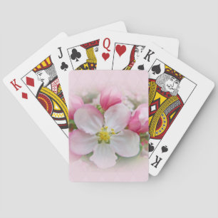 Apple-Blommar Casinokort