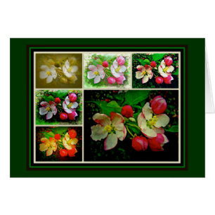 Apple Blommar Collage - Enhanced Digital Photo Hälsningskort