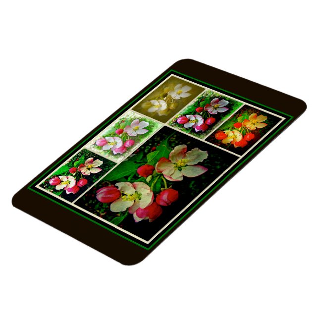 Apple Blommar Collage - Enhanced Digital Photo Magnet (Vänstra Sidan)