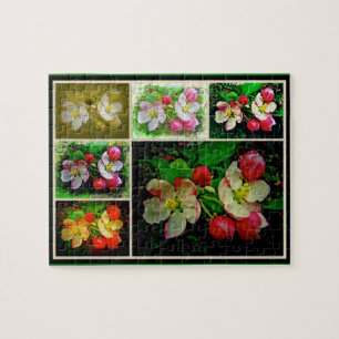 Apple Blommar Collage - Enhanced Digital Photo Pussel