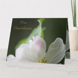 Apple Blommar CondolCard Kort