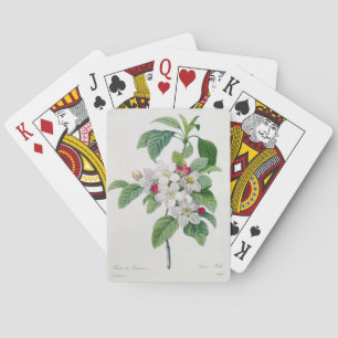Apple blommar, från 'Belles för Les Choix des-plus Casinokort